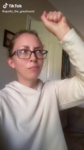 Apollo the Greyhound on TikTok