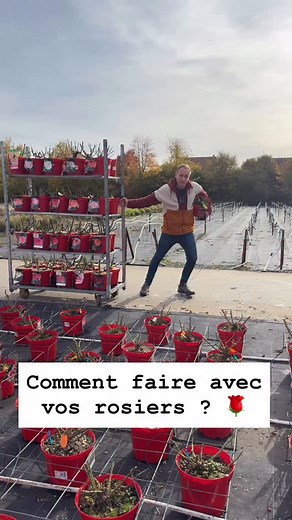 Vous ne savez jamais quoi faire de vos rosiers à l’automne ? Tailler, ramasser les feuilles, fertiliser, éviter les maladies… pas évident de s’y retrouver. C’est pour ça que je vous ai préparé une formation offerte spéciale ROSIERS 👉 Je vous montre tous les bons gestes à faire à chaque saison : Quand et comment tailler, Comment arroser et fertiliser sans excès, Comment éviter les maladies, Et comment préparer vos rosiers à redémarrer fort au printemps. ➡️ Commentez le mot « rosier » sous cette