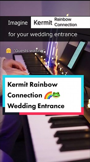 Kermit Rainbow Connection Wedding Entrance