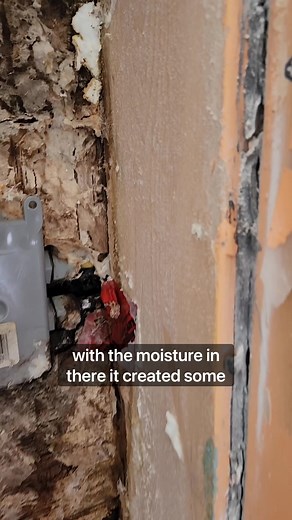 While doing renovation for a client who just bought a new house, RDC Fine Homes Inc discovered mold and rot behind the wall 😱 #holmesapproved #homereno #homerenovation #mold #rot #drywall