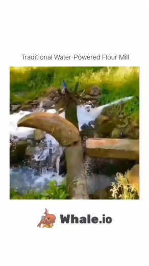 Science | This traditional water-powered flour mill shows how ancient engineering still works flawlessly today. Using the natural force of flowing... | Instagram