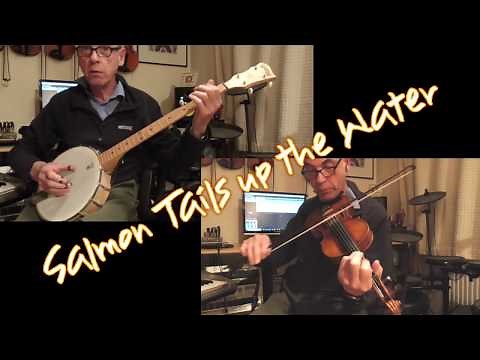 English Fiddle - Salmon Tails Up the Water