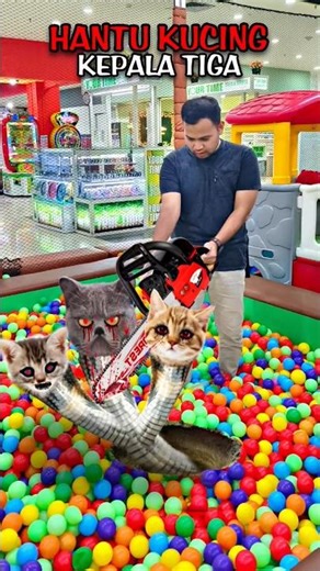 What❗Does a Cat Play Ball❗Here's How to Do It❗#editing #tutorial