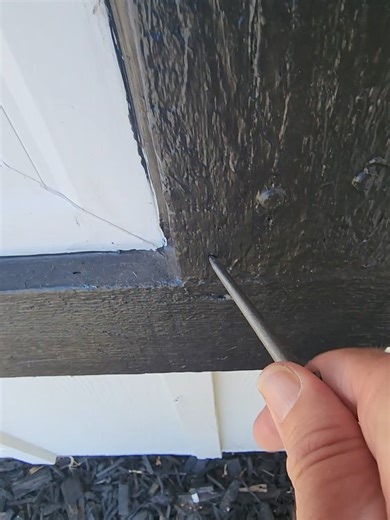 Relaxing ASMR Termite Tapping Sounds for Inspection