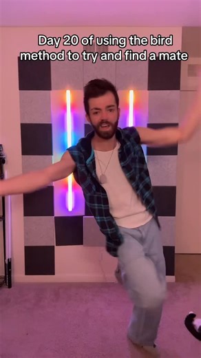 Jesse Mattox on Instagram: "Another day, another dance #daily #dance #bbnos #fyp #birdmethod"