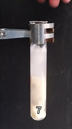 Hydrogen Peroxide vs Potato? | Catalase Enzyme Catalysts