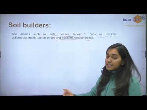 Agribee AFO Introductory Entomology Lecture 2