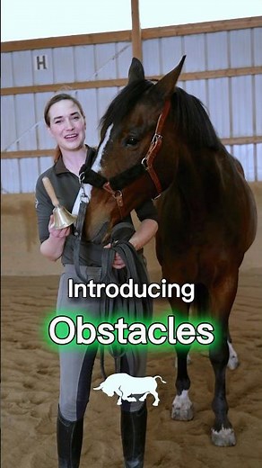 Working Equitation Training