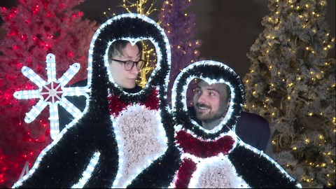 Winter Wonderlights enters its 5th year at the Greensboro Science Center