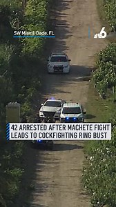 1.6M views · 25K reactions | Police busted a cockfighting ring...