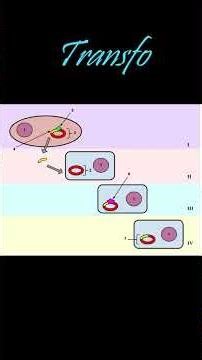 Saprobe to Zygomycota - Ch 13 Definitions | Concepts of Biology #learnwithgs