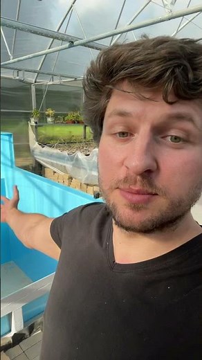 How to Grow Giant Koi Fish