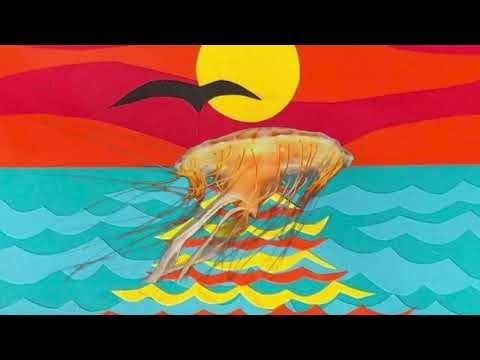 Allah-Las - Jelly (Official Visualizer)