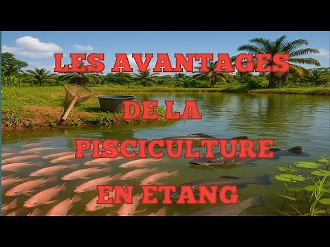 Pond fish farming: economical, ecological and profitable
