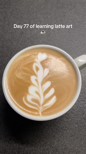 Good Morning everybody🤍 today is day 77 of learning latteart with oir Sage Barista Express coffee machine and after so many time we adore it every day. So today I don’t know what I wasdoing, but this is the outcome🥰☕️🤍 have a wonderful day ! #latteart #homebarista #sage #coffee #coffeelover