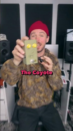 The Coyote Fuzz is Here