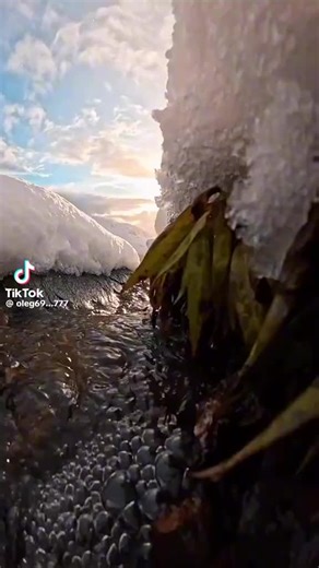 Richard Gill (@richardgill0)’s videos with original sound - Richard Gill