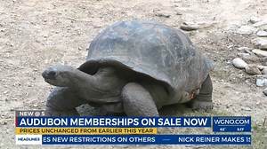 Audubon Nature Institute reopens sale of memberships