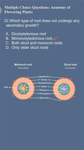32 Monocot vs dicot root #Monocot #SecondaryGrowth #PlantBiology #NEET