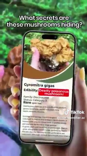 Coin Identifier Scanner App trên TikTok