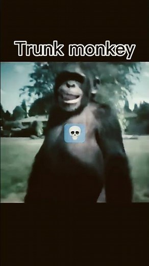 Trunk monkey chases kids #funny #memes