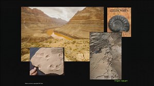 11K views · 293 reactions | Bill Nye Destroys Noah's Ark Bill Nye debunks the Bible's mythical story of Noah's Ark during a debate with Creationist Ken Ham at the Creation Museum in Kentucky. | World Ethnographies | Facebook