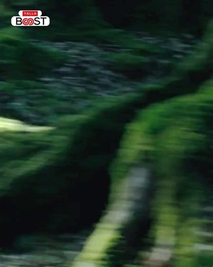 Yalla Boost India on Instagram: "Kawasaki is moving its hydrogen-powered robot horse, Corleo, from concept to reality! The four-legged all-terrain mobility vehicle is now slated to debut its first model within four years, with public demonstrations planned for Expo 2030 in Riyadh and commercial availability targeted for 2035. Kawasaki has formed a dedicated Safe Adventure Business Development Team to advance the project and confirmed that Corleo is designed to tackle rugged, mountainous terrain