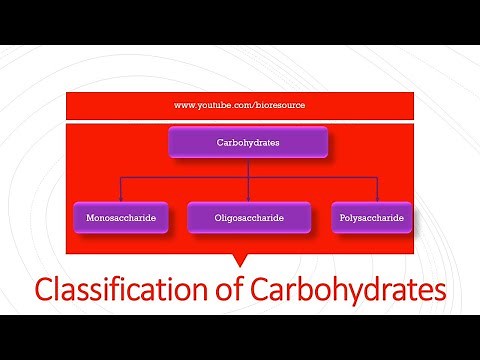 Classification of carbohydrates - Introduction, Function & Classification with Examples