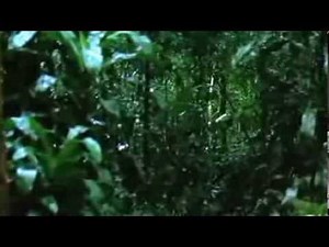 Massacre in dinosaur valley. Quicksand scene.