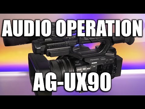 Panasonic AG-UX90: Audio Operation