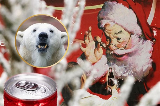 Why Coca-Cola’s Polar Bear No Longer Celebrates Christmas