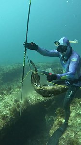The Best Fish Live in Underwater Caves | Ryan Myers