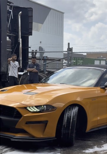 Mafia Detailing: Premium Automotive Detailing Services
