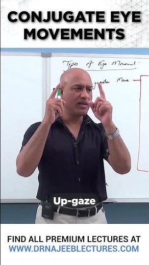 Conjugate Eye Movements #drnajeeb #shortvideo #drnajeeblectures #youtubeshorts