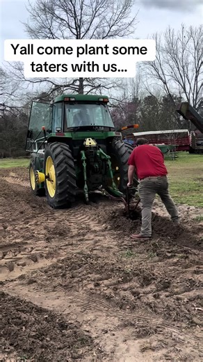 Essential Tips for Planting Potatoes in Your Garden