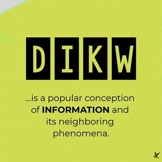 DIKW | Tiny Video Series (#23)