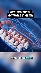 1.6K views | Are octopus actually alien?? #Octopus #aliens #science #BTS | Fails TV | Facebook