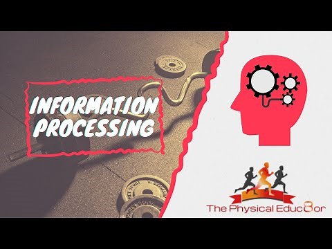 Physical Educ8or: IB SEHS: Skill: Information Processing