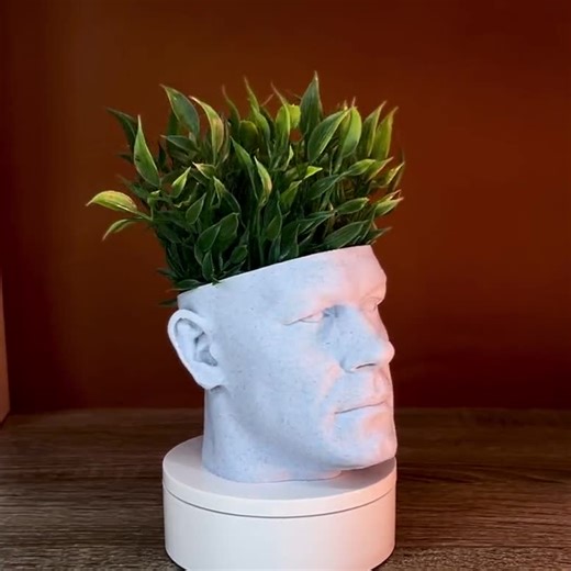 John Cena Head Planter - Custom Celebrity Face Pot, WWE Star Succulent Planter, Unique Meme Home Decor Gift - Etsy New Zealand