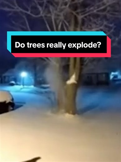 Understanding Why Trees Don’t Actually Explode