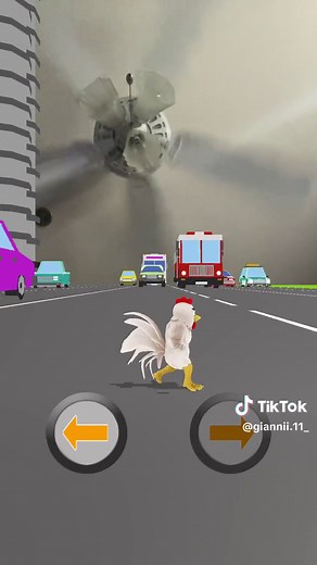 Rooster Fighter: Hilarious Rooster Chasing People Compilation