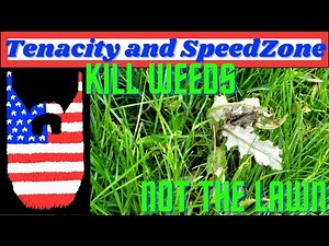 Tenacity Mixed With SpeedZone