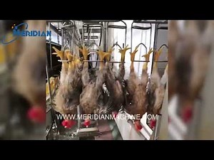 Poultry Factory Production Line | Chicken Processing & Slaughterhouse Workflow