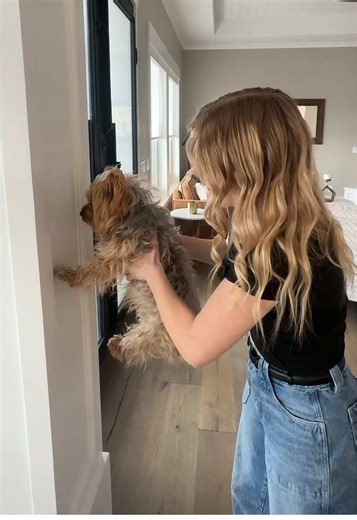 Is Our Puppy Smart? A Fun Challenge to Find Out!