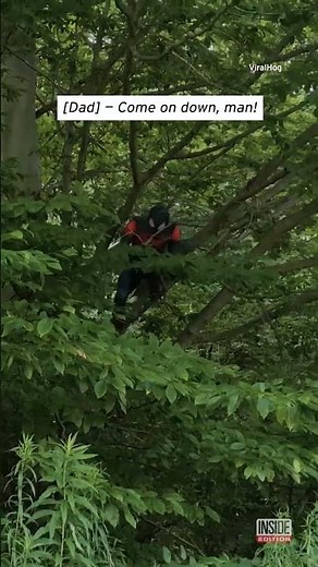 Spider-Man Falls Out of Tree #shorts