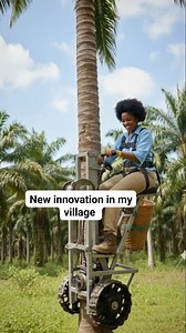 My Uncle living abroad sent me this tree climbing machine that also helps to harvest all palm fruits within seconds #fypシ #everyone | Grace D Twins