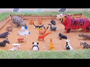 Discover the Secret Lives of Farm and Forest Animals 🐯💦 Fun Facts for Kids!