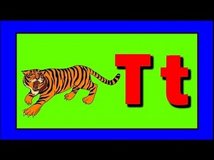 Phonics - The Letter T