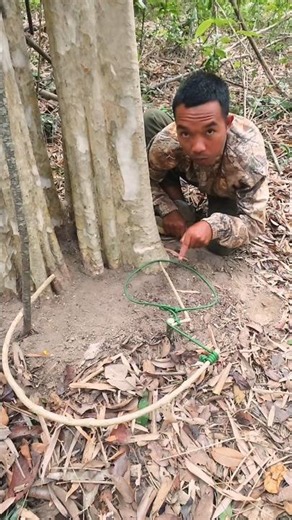 You'll be Surprised by this Trap #bushcraft #trap #survival