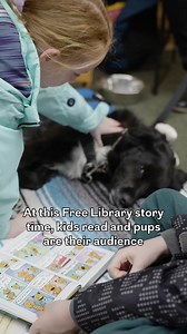 1.4K views · 26 reactions | Therapy dogs are helping kids become better readers at the Free Library's Parkway Central branch  For more on the program that has kids are "tripping over themselves" to read to the dogs, click here: https://www.inquirer.com/life/therapy-dog-reading-philadelphia-libraries-20240129.html | Philadelphia Inquirer | Facebook